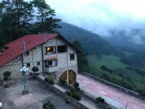 Гостиница Cabañas 5 Pinos  Пиналь Де Амолес